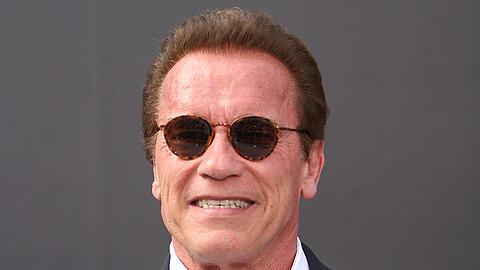 Ex-"Gouvernator" Arnold Schwarzenegger