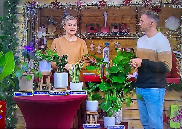 Karen Heinrichs und Pflanzen-Influencer Michael Axmann