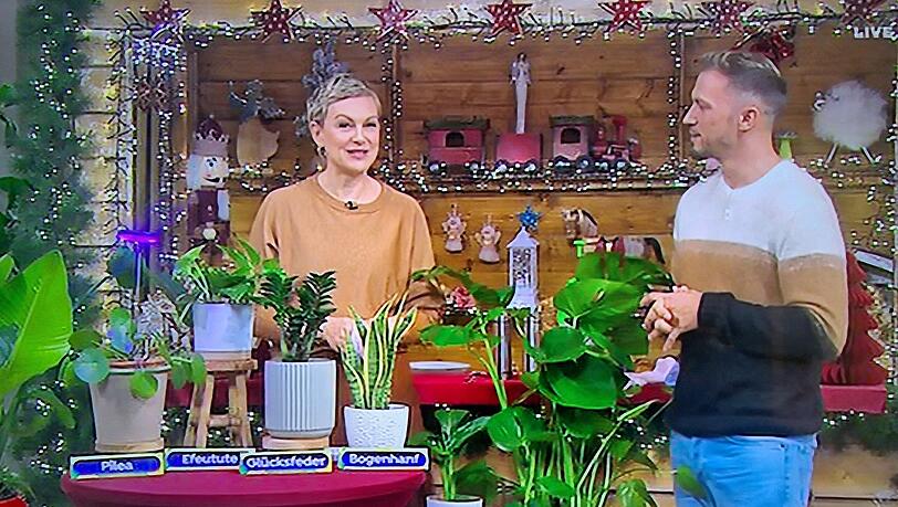 Karen Heinrichs und Pflanzen-Influencer Michael Axmann Karen Heinrichs und Pflanzen-Influencer Michael Axmann