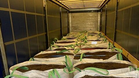 In einem vom franz&ouml;sischen Zoll gestoppten Lastzug befand sich auf den ersten Blick nur Blumenerde. (Handout-Foto)