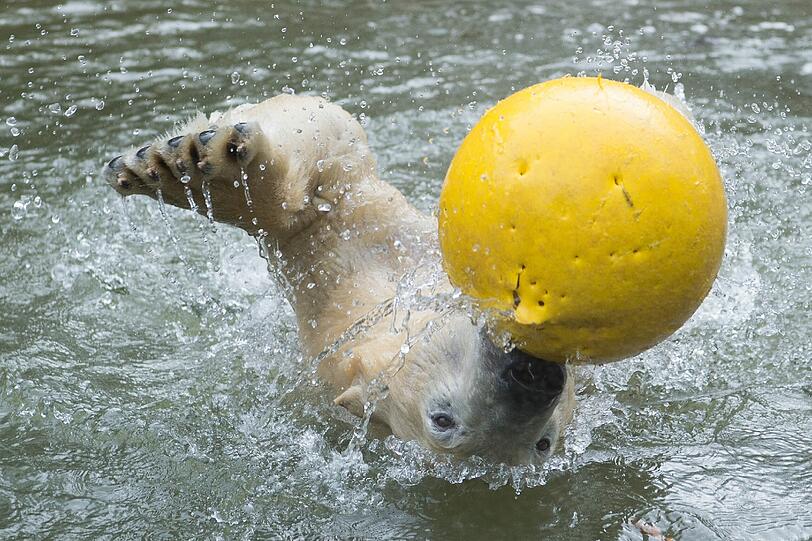 Nela beim spielen im Wasser.
