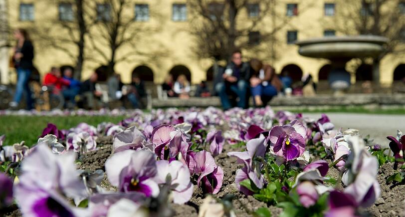 Besucher des Hofgartens genießen am Sonntag (01.04.2012) die Sonne und die Farbenpracht der blühenden Blumen.
