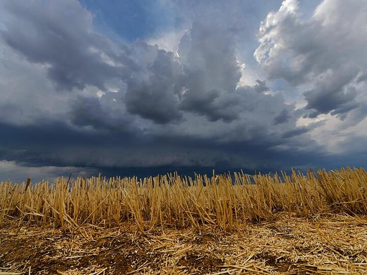 Dunkle Wolken und starker Wind ziehen über ein Feld. Foto: Frank May/dpa/Archivbild