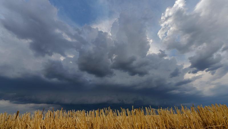 Dunkle Wolken und starker Wind ziehen über ein Feld. Foto: Frank May/dpa/Archivbild Dunkle Wolken und starker Wind ziehen über ein Feld. Foto: Frank May/dpa/Archivbild