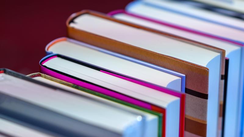 Sachbücher waren 2019 besonders erfolgreich. Sachbücher waren 2019 besonders erfolgreich.