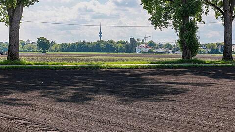 Auf diesem Feld hat Landwirt Andreas Grünwald diesen Sommer Quinoa ausgesät. Allerdings liegt es auf dem SEM-Gebiet