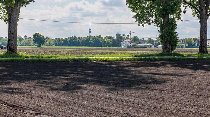 Auf diesem Feld hat Landwirt Andreas Grünwald diesen Sommer Quinoa ausgesät. Allerdings liegt es auf dem SEM-Gebiet