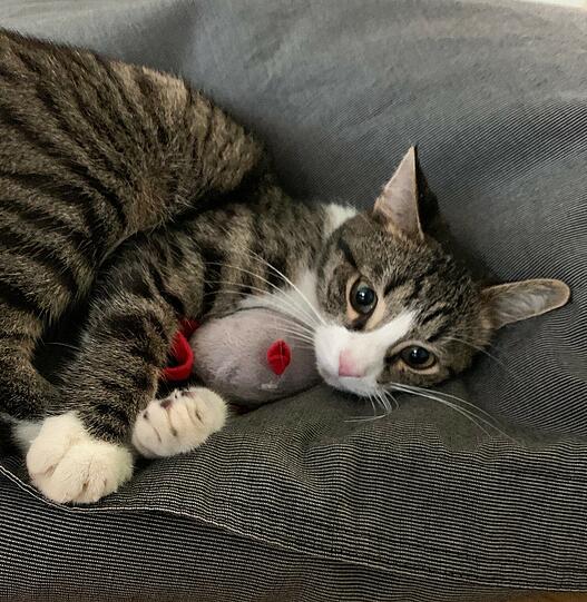Sminky