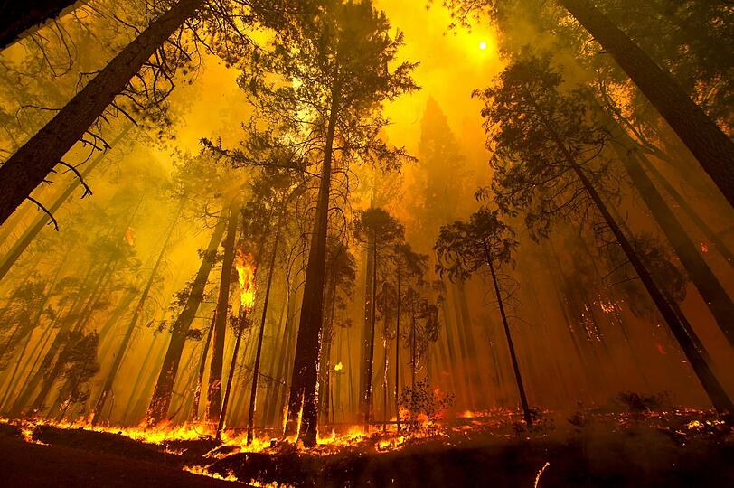 Die Waldbrände in der kalifornischen Sierra Nevada haben den Yosemite-Nationalpark erreicht. Die Bilder der Feuersbrunst!