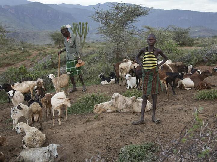 Ein ugandischer Farmer zählt die Tiere seiner Herde: Karamoja, eine der ärmsten Regionen Ugandas, ist stark vom Klimawandel betroffen.