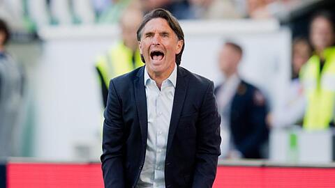 Bruno Labbadia soll mit Hertha BSC den Klassenerhalt schaffen.