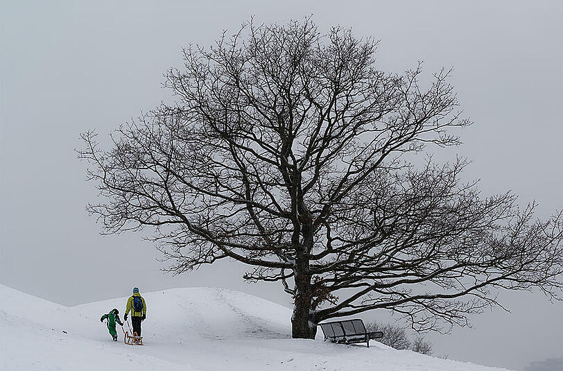 Reichlich Schnee mit winterlichen Landschaften gab es vor allem Ende Dezember und Ende Januar.