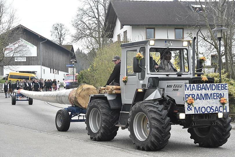 Die Triumph-Parade: Ein Bulldog samt Maibaum, zwei Feuerwehrfahrzeuge und über 30 Beteiligte marschieren am Freitag Abend in Buch ein.