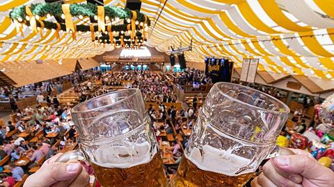 Besucher des Gäubodenvolksfestes stoßen in einem Festzelt mit Bierkrügen an. Foto: Armin Weigel/Archivbild
