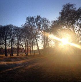 Wunderschöne Sonnenbilder von der Isar und dem Englischen Garten hat AZ-Leserin Katrin Bischoff eingefangen. Klicken sie sich durch...