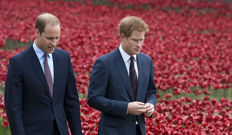 In der Dokumentation "Harry & Meghan: An African Journey" äußerte sich Prinz Harry erstmals zu den Gerüchten, er würde sich nicht mehr mit Bruder William verstehen. Er gab zu, dass man sich auf "unterschiedlichen Wegen" befinden würde. So offen über private Angelegenheiten zu sprechen ist ein No-Go für einen Royal. Doch er ist nicht der Einzige ...