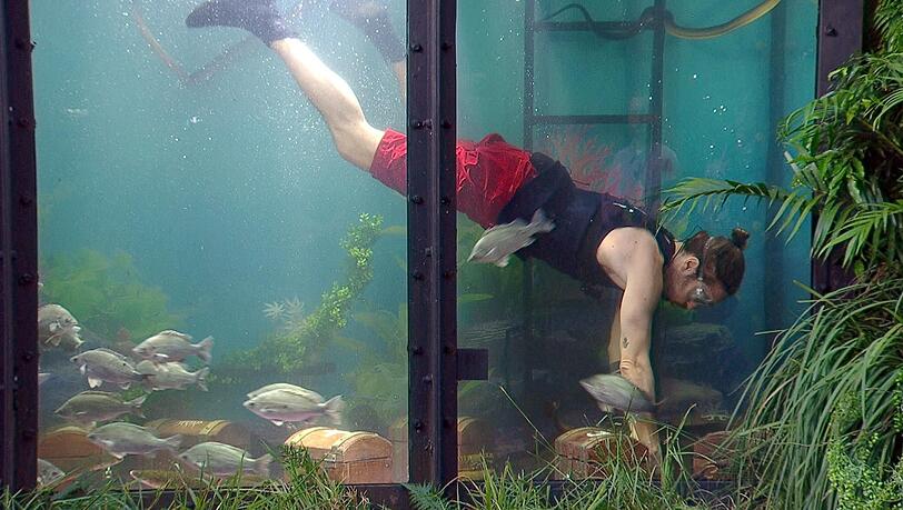 Gil Ofarim ist an Tag 10 zur Dschungelpr&uuml;fung angetreten.