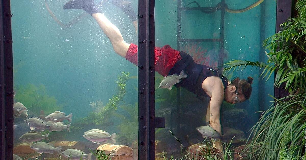 Dschungelpr-fung-an-Tag-10-Gil-Ofarim-kann-Sterne-abr-umen