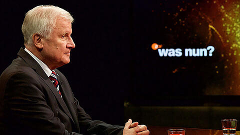 Der CSU-Vorsitzende und bayerische Ministerpräsident Horst Seehofer in der ZDF-Sendung "Was nun, Herr Seehofer?".