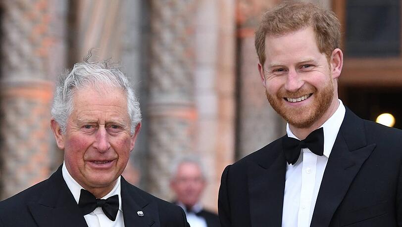 Wie steht es um das Verhältnis zwischen Prinz Charles und Prinz Harry?