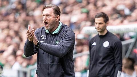 Ralph Hasenhüttl feierte bei seinem Debüt als Wolfsburg-Coach einen Sieg.