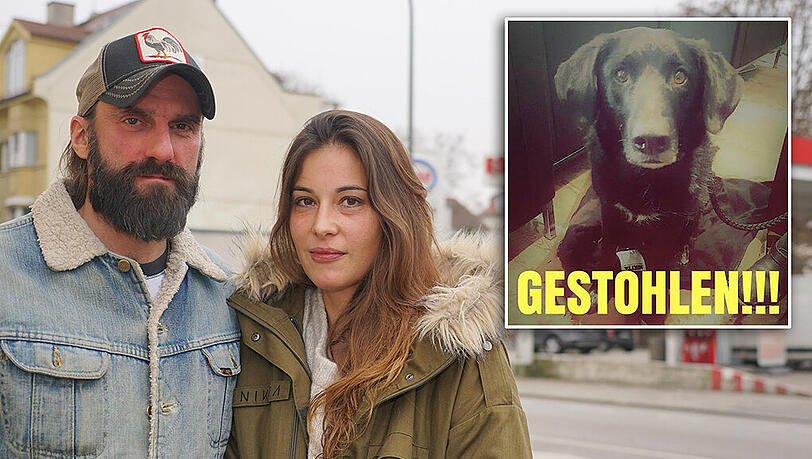 Die Schwabinger Sven und Susanna vor der Esso-Tankstelle in der Ungererstraße. Dort verschwand ihr zehn Jahre alter Mischlingshund Rocky am Samstag, gegen 15.15 Uhr. Sie suchen überall nach ihrem vierbeinigen Freund. Die Schwabinger Sven und Susanna vor der Esso-Tankstelle in der Ungererstraße. Dort verschwand ihr zehn Jahre alter Mischlingshund Rocky am Samstag, gegen 15.15 Uhr. Sie suchen überall nach ihrem vierbeinigen Freund.