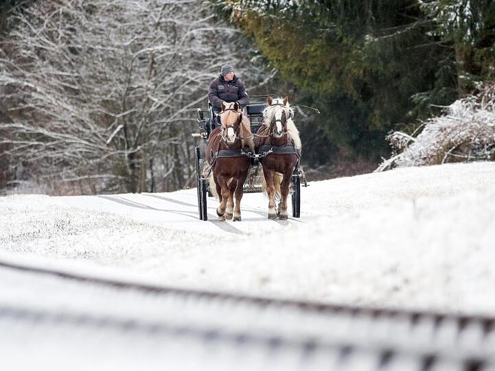 Kutschfahrt bei Schneefall auf der Schwäbischen Alb.