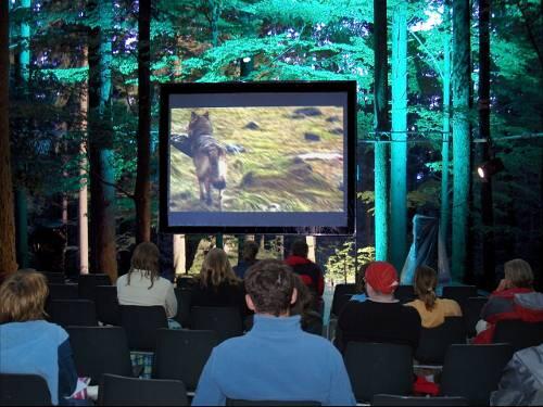 Das NaturVision-Festival zeigt faszinierende Tierfilme.