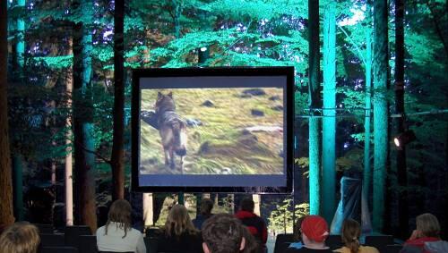 Das NaturVision-Festival zeigt faszinierende Tierfilme. Das NaturVision-Festival zeigt faszinierende Tierfilme.