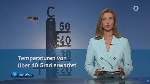 "Tagesschau"-Sprecherin Julia Niharika-Sen bei der 20-Uhr-Ausgabe: Klimathemen werden im &ouml;ffentlich-rechtlichen Fernsehen immer seltener aufgegriffen.