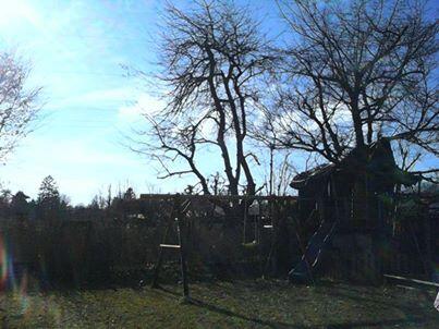 Sandra S.' Gewinnerfoto zum Thema "Leben in Pasing"