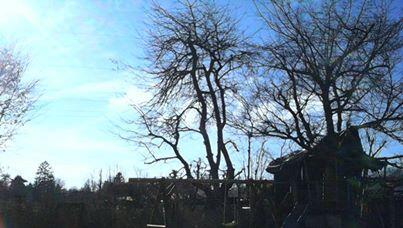 Sandra S.' Gewinnerfoto zum Thema "Leben in Pasing" Sandra S.' Gewinnerfoto zum Thema "Leben in Pasing"