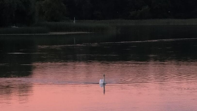 Schwanensee: Sonnenuntergang in Mragowo, dem früheren Sensburg, am Czos-See, dem einstigen Schoss-See. Schwanensee: Sonnenuntergang in Mragowo, dem früheren Sensburg, am Czos-See, dem einstigen Schoss-See.