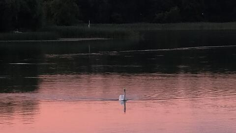 Schwanensee: Sonnenuntergang in Mragowo, dem früheren Sensburg, am Czos-See, dem einstigen Schoss-See.