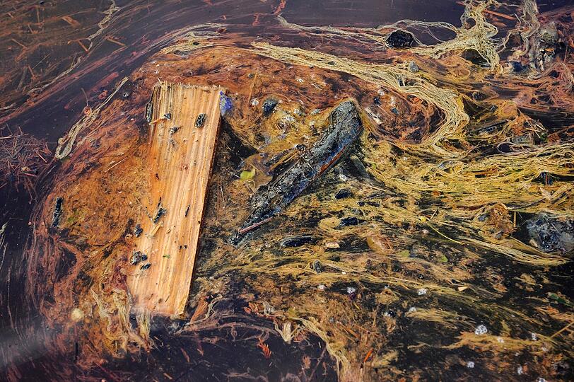 Die Hilfsbereitschaft der Menschen ist groß: In der vom Hochwasser schwer betroffenen Stadt Deggendorf sammelt der Kreisjugendring (KJR) Sachspenden für die Flutopfer.