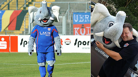 Der Grotifant hat einen neuen Job.