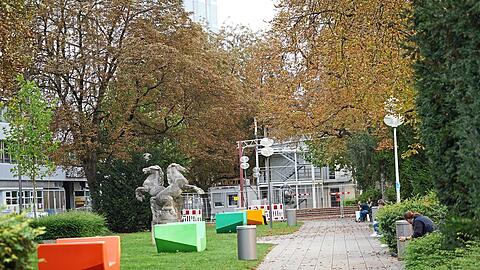 Der Herzog-Wilhelm-Park: Hier soll eine 18-Jährige vergewaltigt worden sein.