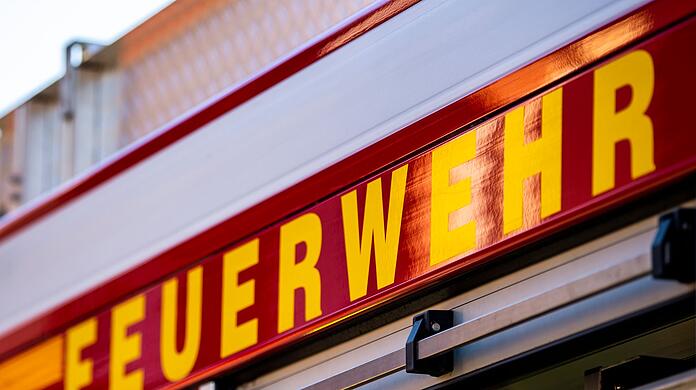 Die Feuerwehr musste am Wochenende eine verirrte Katze retten. (Symbolbild)