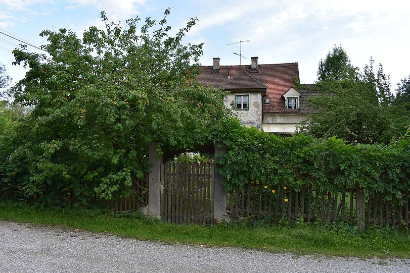 Viel Grün prägt die Gegend.
