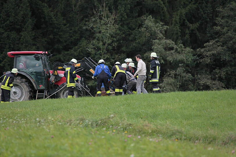 In einer spektakulären Aktion hat die Feuerwehr einen in der Nacht von Samstag auf Sonntag ausgebrochenen Stier wieder eingefangen - die Bilder.