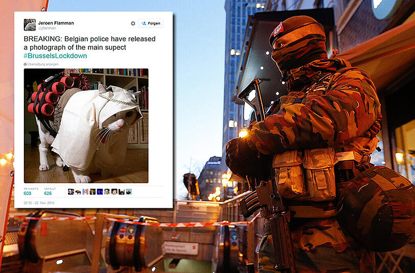 Keine Infos für Terroristen auf Twitter - die Belgier fluteten den Kurznachrichtendienst während des Einsatzes mit Katzenbildern.