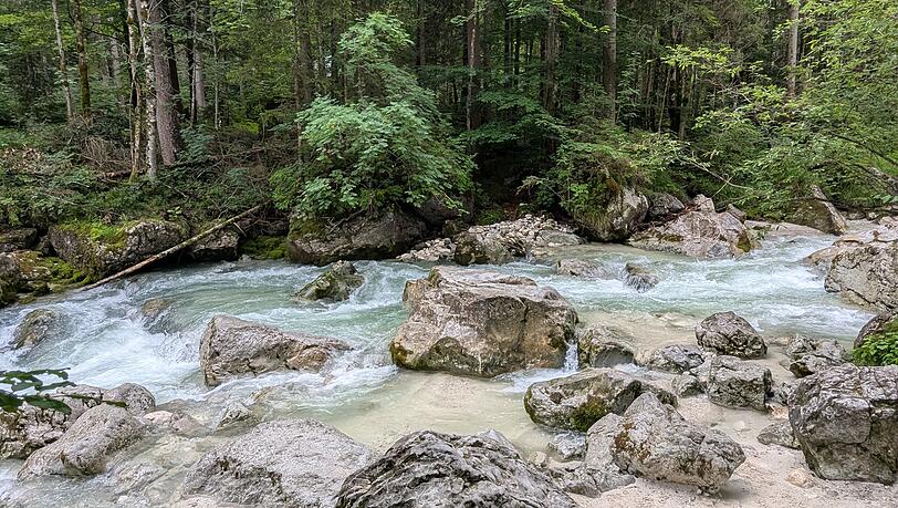 Der Zauberwald bei Ramsau. Am Hintersee gibt es mehrere Wanderparkplätze zu dem Rundwanderweg. Der Zauberwald bei Ramsau. Am Hintersee gibt es mehrere Wanderparkplätze zu dem Rundwanderweg.