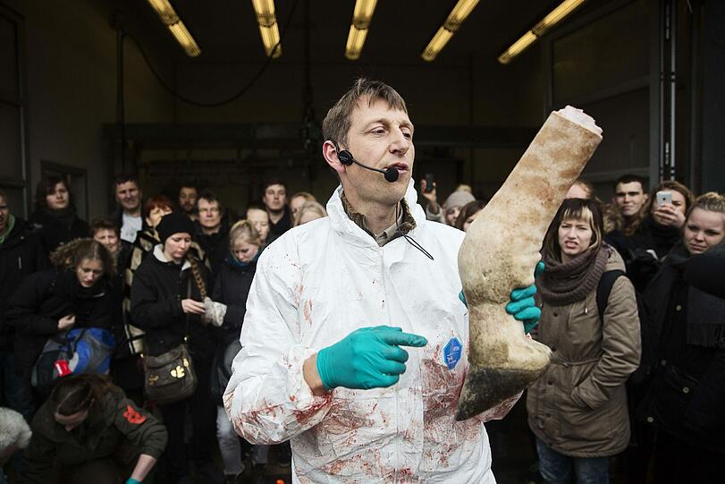 Weltweite Entrüstung: Im Zoo in Kopenhagen wurde eine gesunde Giraffe getötet und dann an die Löwen verfüttert. Die Bilder.