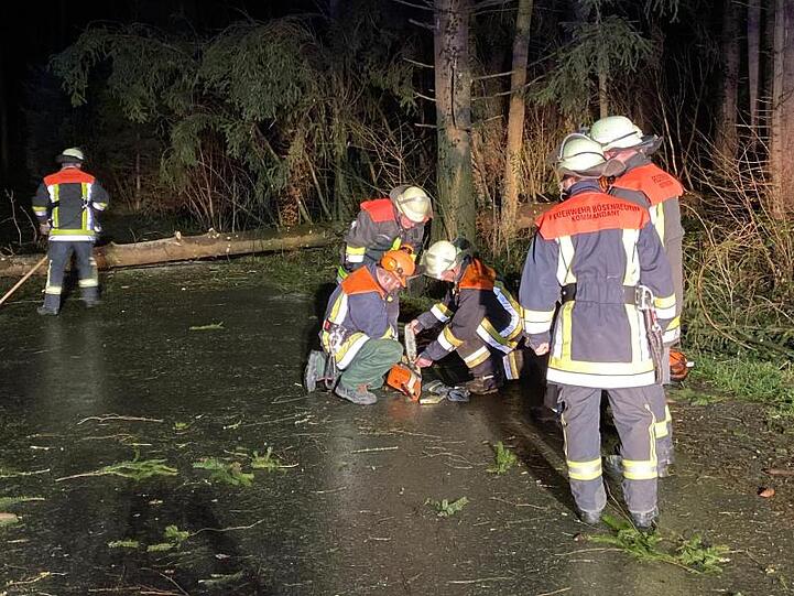 Feuerwehrleute räumen in Lindau in Südbayern Zweige und einen umgestürzten Baum von einer Straße.