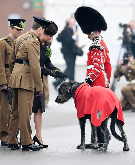 Herzogin Kate überreicht den Soldaten des Regiments Irish Guards am St. Patrick's Day  Sträußchen aus Kleeblättern