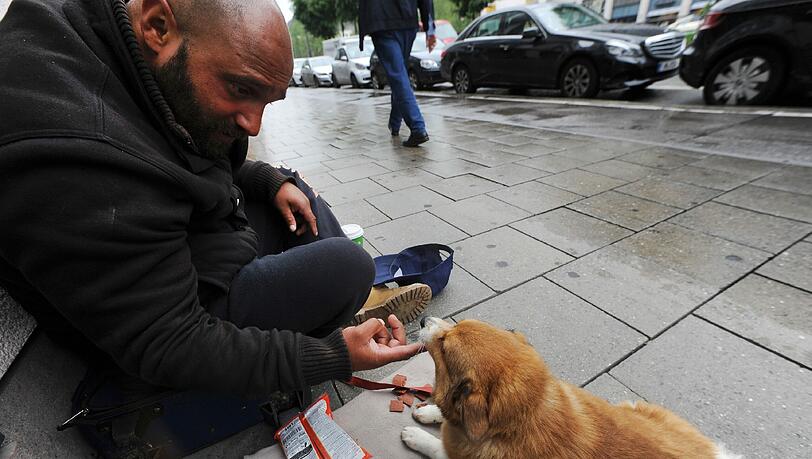 Friedrich Roldi sitzt in München mit seinem Hund "Johny" auf der einem Gehweg und bettelt um Almosen. Friedrich Roldi sitzt in München mit seinem Hund "Johny" auf der einem Gehweg und bettelt um Almosen.