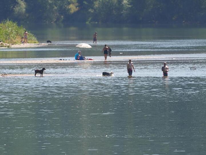 Urlauber baden mit ihren Hunden in einer Bucht am Mittelrhein.