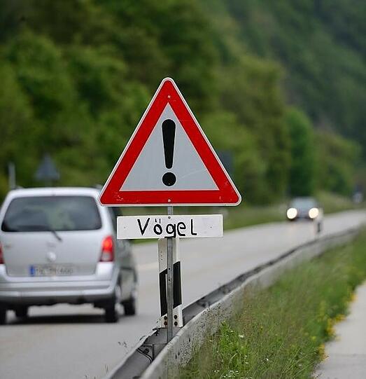 Achtung Vögel! Auf dieser Straße wird vor den tief fliegenden Schwalben gewarnt.