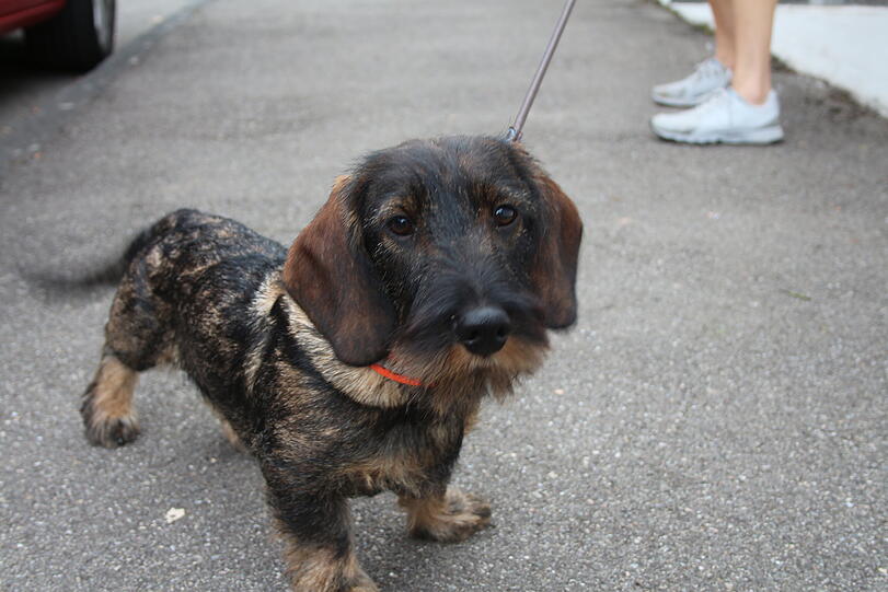 Edgar (Eddy)
