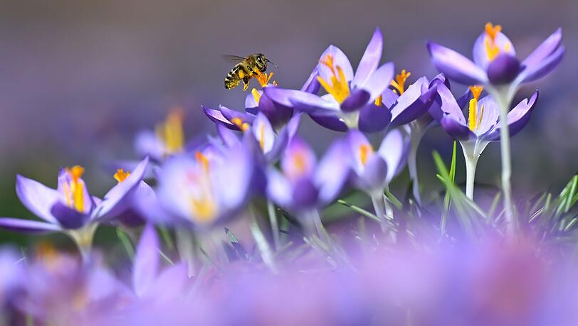 Die Temperaturen in Bayern steigen weiter an. Die Temperaturen in Bayern steigen weiter an.